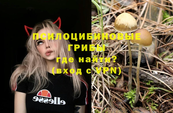 марки nbome Баксан