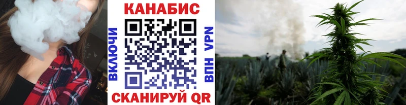 Бошки Шишки White Widow  гидра ONION  Высоцк  как найти наркотики 